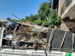 Best Dumpster Rental Services  in Antioch, CA